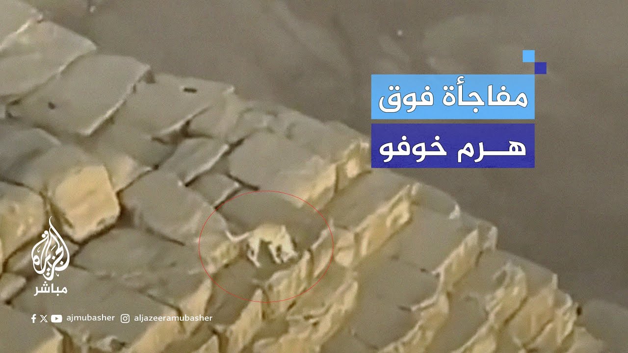 أثناء توثيقه القفز بالمظلة.. شاب يفاجأ بوجود كلب فوق قمة هرم خوفو الأكبر في الجيزة