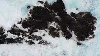 Madeira - Porto Moniz Waves 4K