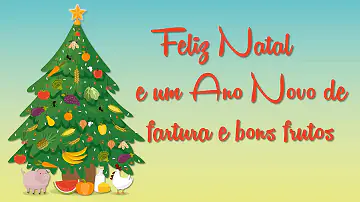 O que escrever numa mensagem de Natal?
