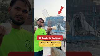 Challenge Ke 7  bache Ho gaye 😍🕊️ #minivlog #kabootarloft05 #pigeon #petlover #funnyreel