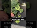 Broccoli Rice Ingredients You Already Have 🧄🌶️🥦 #vegetarianrecipes #medhashealthyvegkitchen
