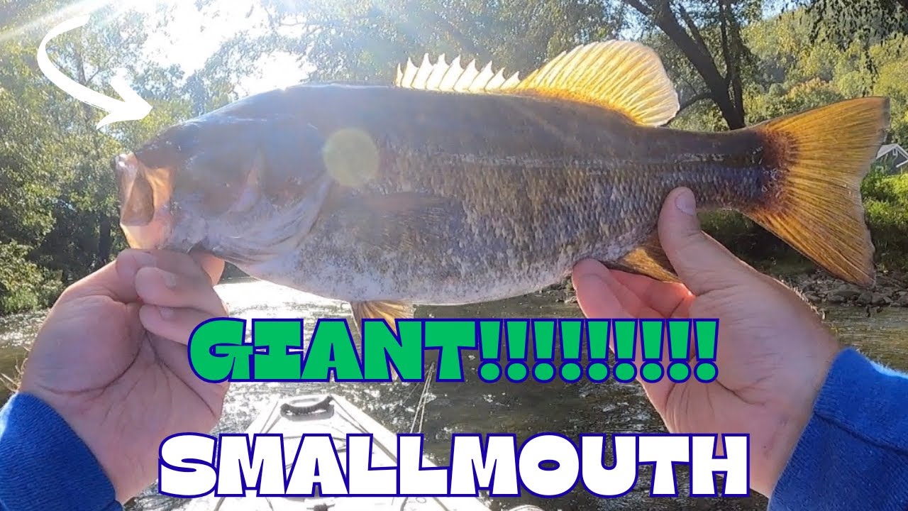 September BASS Fishing Top Water ONLY (CRAZY DAY)