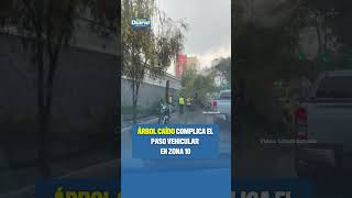 Videos RRSS 2026 (4)