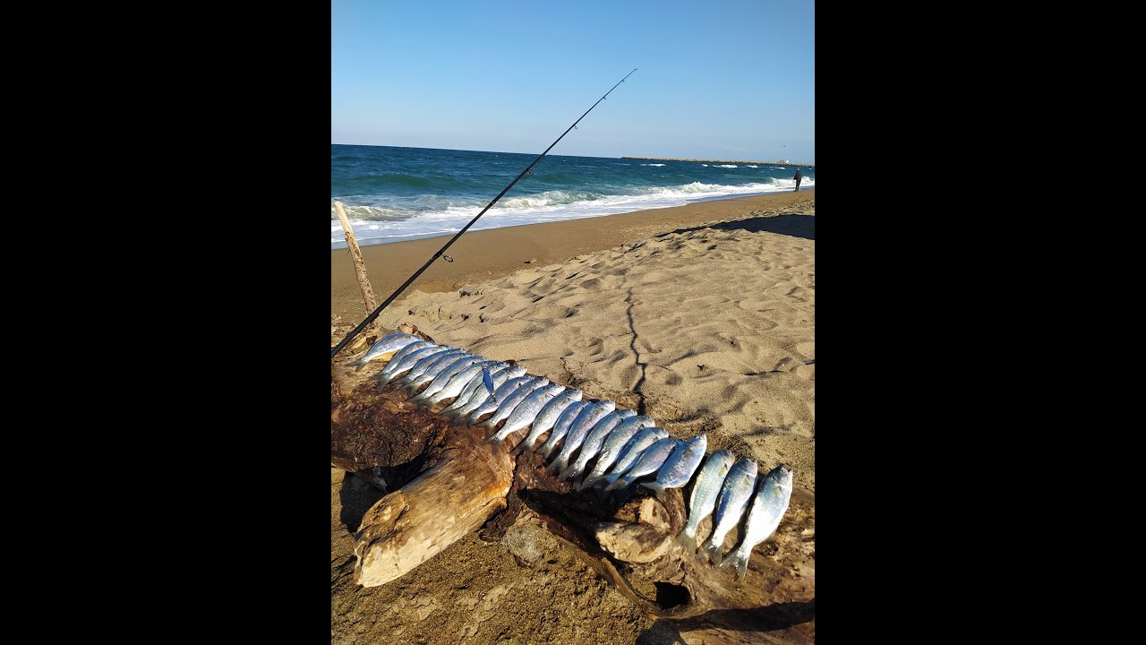 SPİNCİLEERR !!! Kaşıkla At Çek Çinekop Avı !!!