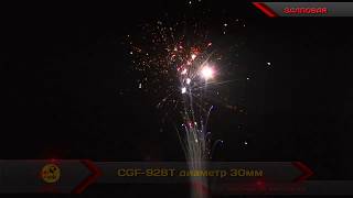 CGF-928т 2012