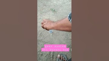 dsssb fire driving test ,burari track, delhi fire theory, dsssb fire driving track,delhi fire 18/19