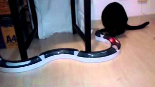 VID-20140704-WA0000.mp4