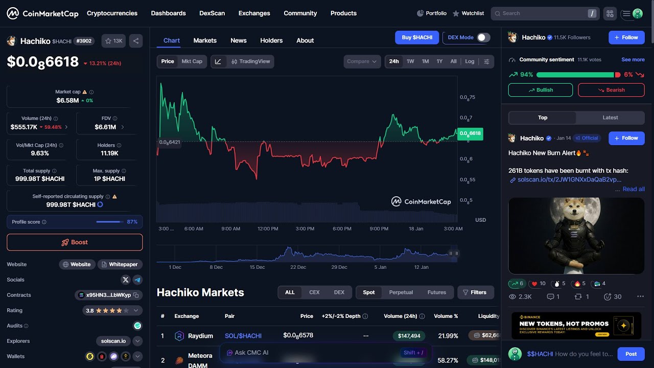 Is Hachiko ($HACHI) token legit or a scam