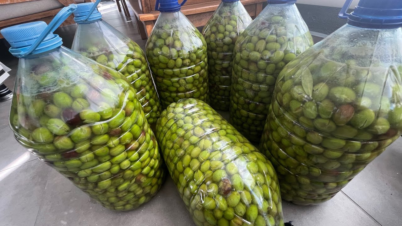 🫒TÜM PÜF￼ NOKTALARIYLA  KIRMA YEŞİL ZEYTİN 🫒 NASIL KURULUR BU YÖNTEMLE ASLA ERİMEZ.❌