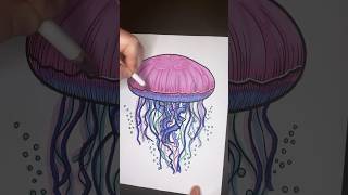 What Color is a Jellyfish