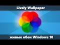 Живые обои на рабочий стол Windows 10 в Lively Walpaper