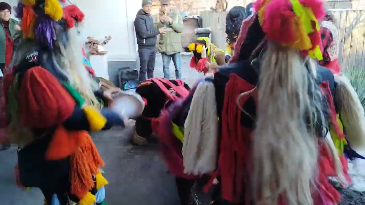 Ursul de la Slobozia la Bâra