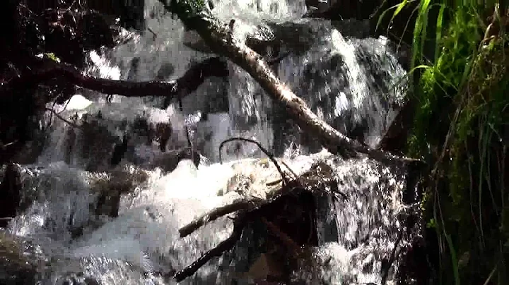 the sound of a small waterfalls by Larry Zepf