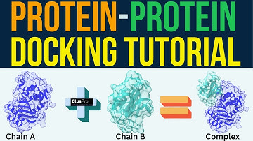 Protein-Protein Docking in Minutes! | ClusPro 2.0 Complete Guide | PandaProt