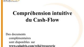 Cash Flow 1 Définition Et Compréhension Intuitive Du Cash - Flow