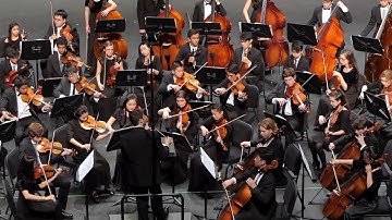 2018 Texas TPSMEA All-State Orchestra - Reinecke Serenade for Strings - IV. Cavatine
