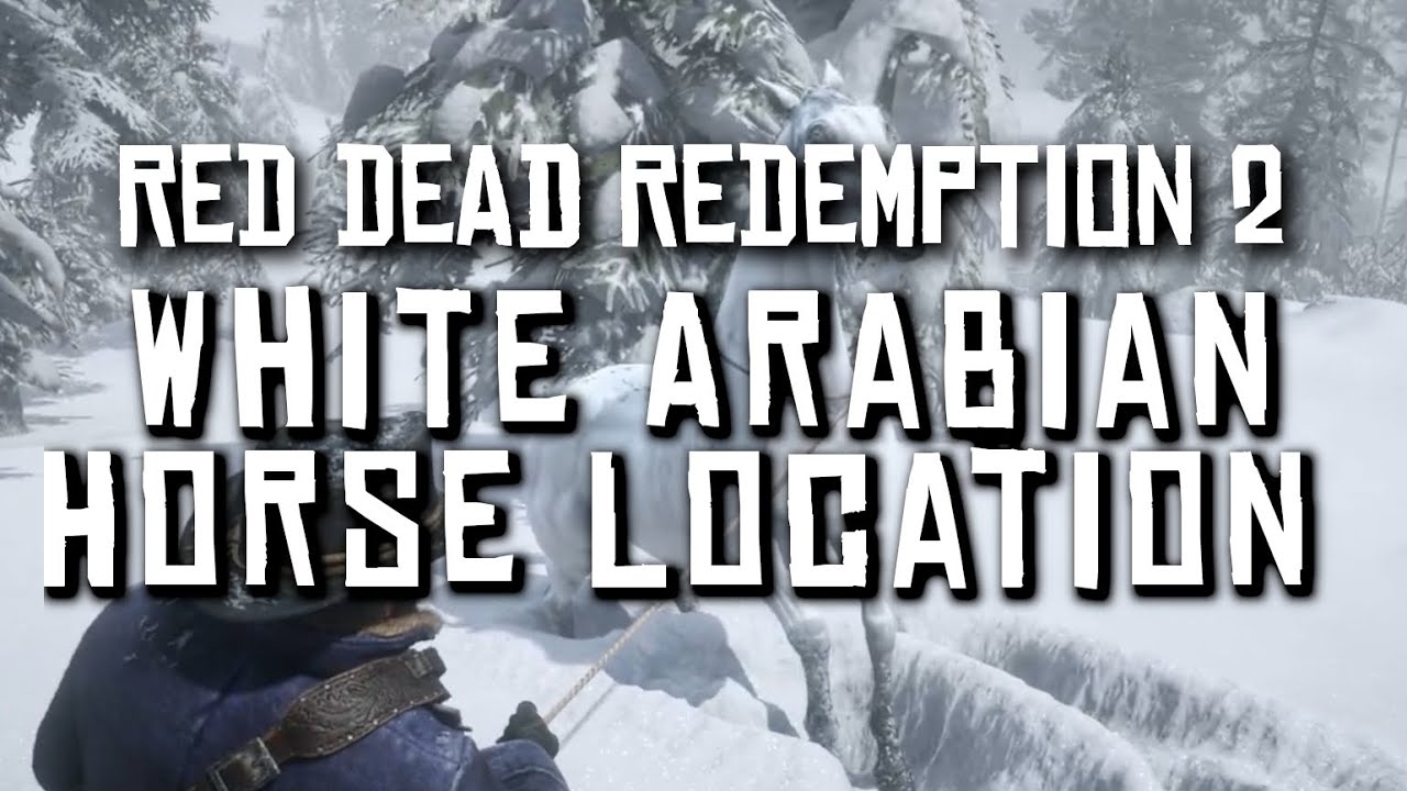 White Arabian Horse Location (Elite Arabian) Red Dead Redemption 2