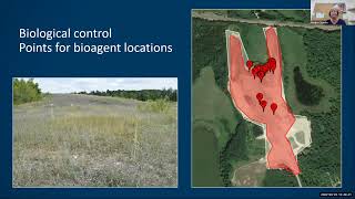 EDDMapS Summit 2022 - Lessons Learned with Point and Polygon Data – Monika Chandler, Minnesota