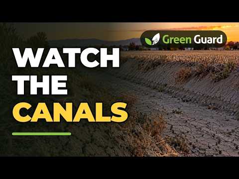 best rodent control near me