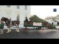 The First Lady Receives the 2017 White House Christmas Tree