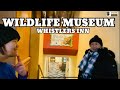 WILDLIFE MUSEUM | WHISTLER INN | ADAEAGLE