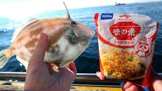 Fishing TONS with this MAGICAL SALT【ENG SUB】