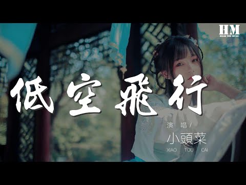 小頭菜 - 低空飛行（翻自 沈以誠） 『我打破了天 我打破了地』【動態歌詞Lyrics】