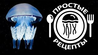 Эксперимент по приготовлению медузы-корнерота (Rhizostoma pulmo)