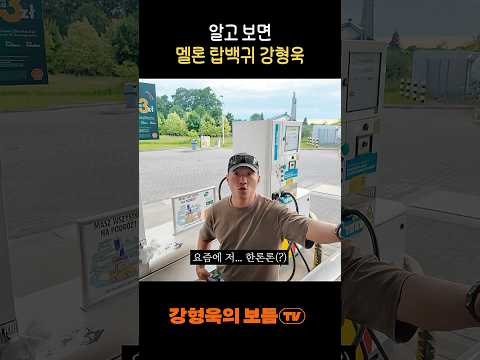 한론론님 강아지 키우시나론