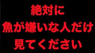 魚が