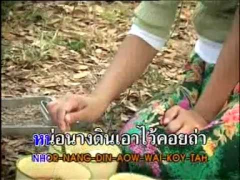ฝากฝนสั่งฟ้า ดวง มรกต