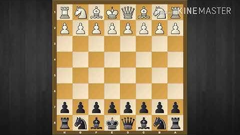 Chess video GM Viswanathan Anand