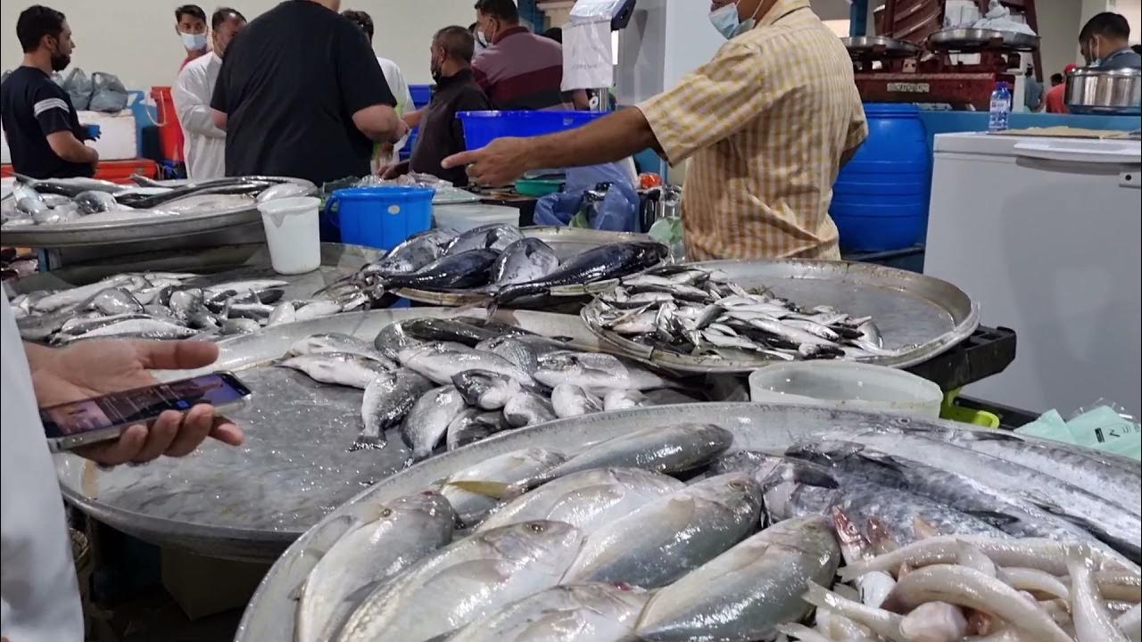 Bahrain Fish Market 🐟 YouTube