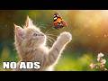 12 Hours Calming Music for Cats ✨ Peaceful Night Music for Deep Cat Relaxation