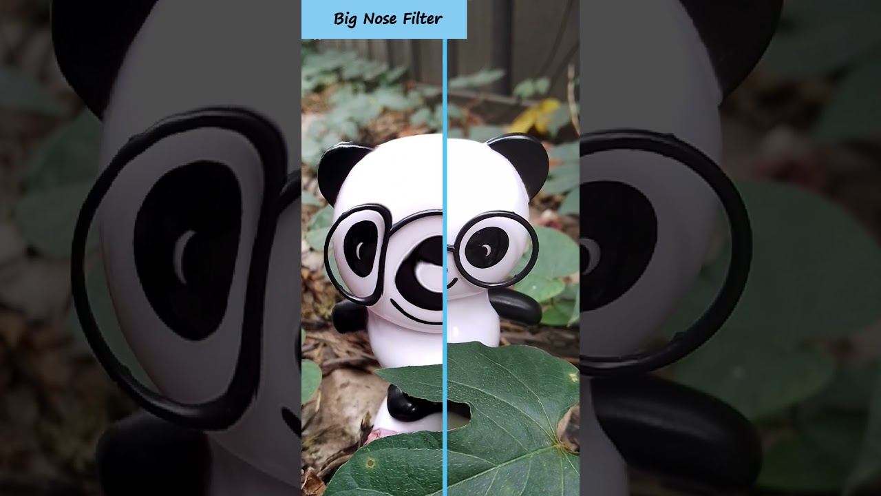 Big Nose Filter - Time Freezer App  (Time Warp Scanner Made Awesome)