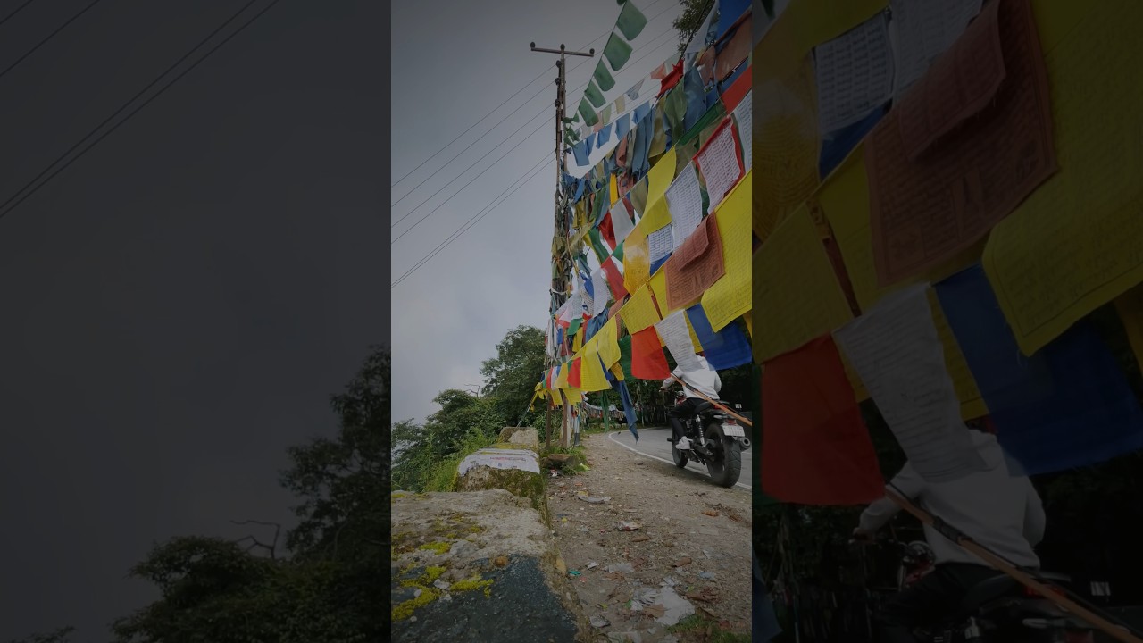 Honda cb350rs raw exhaust note and relaxing morning ride cinematic video.