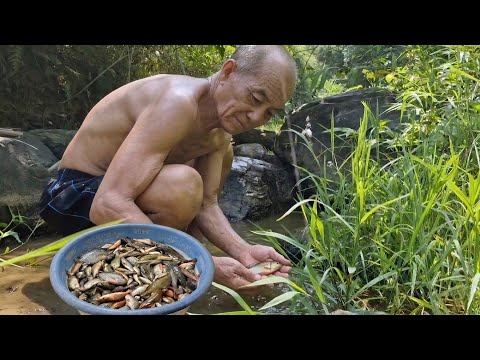 Full video: 365 days of life of an 80-year-old man fishing and cooking traditional meals.