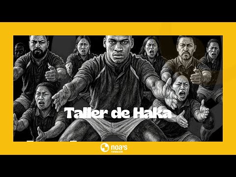 GRUPO NOA'S | Noa's Cleaning