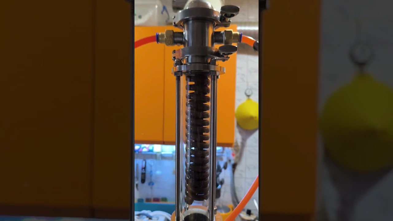 ПРОЦЕССИЯ ВКУСНО И ЗАПЯТАЯ,