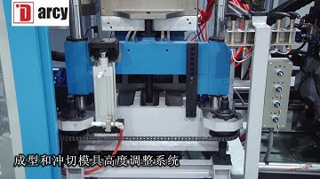Three Station Thermoforming Machine Working Video