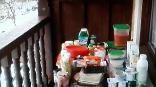 Rioseco y campo caso asturias