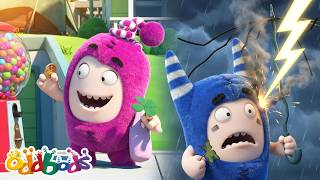 pogo hunts luck newt s lucky clover oddbods full episode