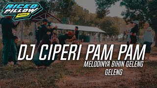DJ CIPERI PAM PAM | Melodinya Bikin Geleng Geleng 🤤