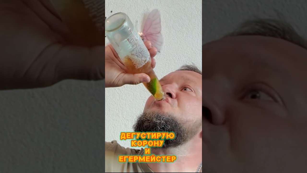 Корона и егермейстер дегустация 