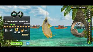 I CAUGHT 12 STAR NEW COMMON FISH ; BLUE-SPOTTED SPINEFOOT I FISHING CLASH GAMEPLAY