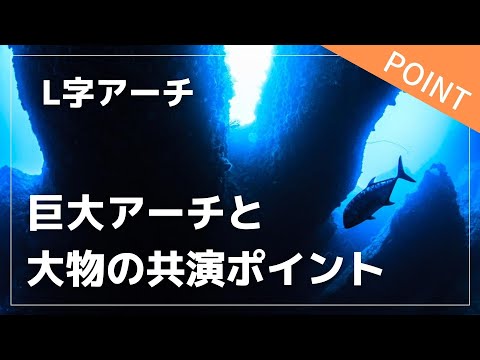 L字アーチ【宮古島ダイビングポイント】 -  Miyako island diving site