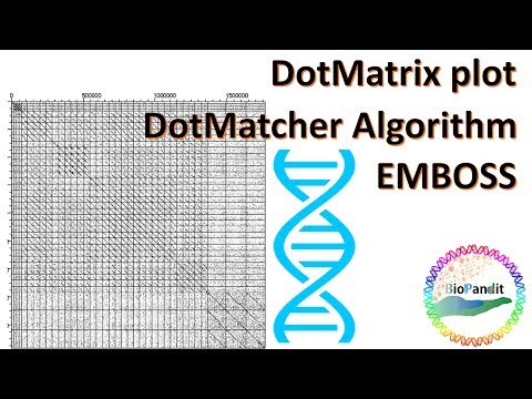 How to generate a DotMatrix using DotMatcher algorithm
