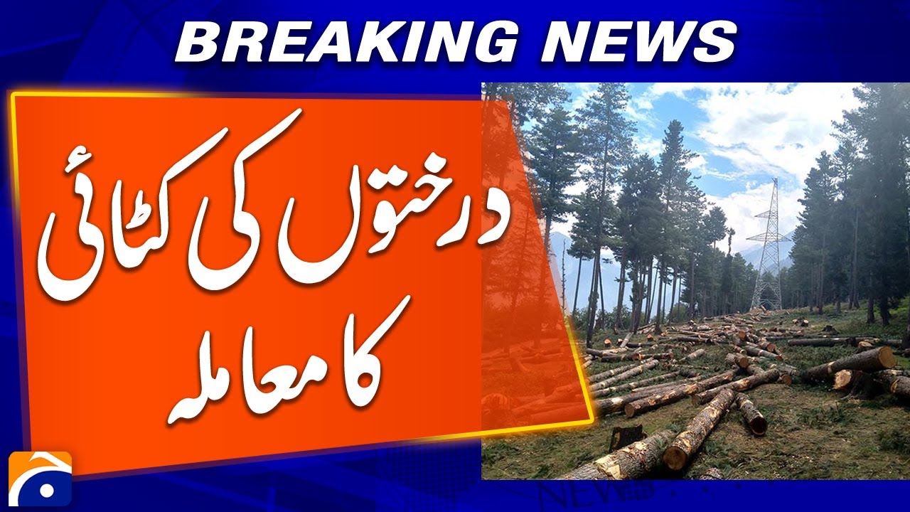 Islamabad: Wild Mulberry & Other Trees Cut Down from Sugarcane Fields - Breaking News - Geo News