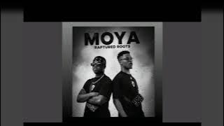 MOYA BY- Raptured roots