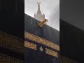 Darood un par slam un par yei kehna #islamic #allah #naat #newnaat #allahuakbar